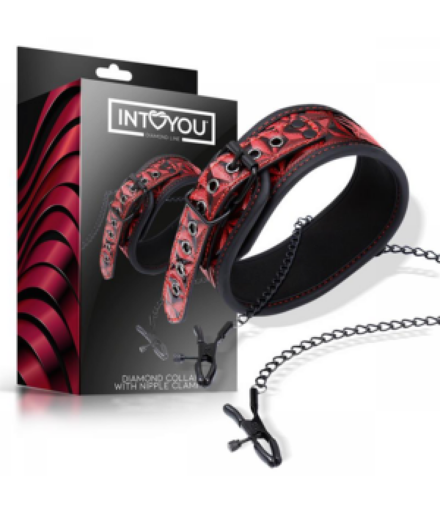 Collar con pinzas Diamond