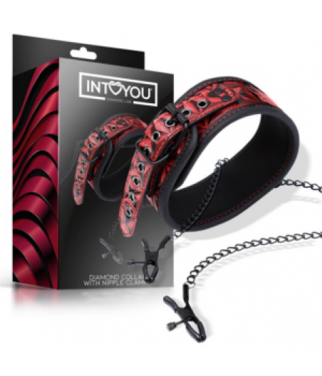 Collar con pinzas Diamond