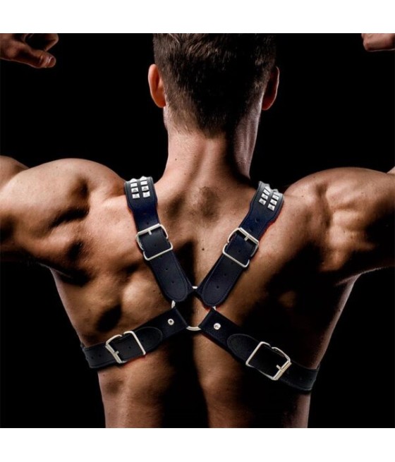 ARNES MASCULINO ADONIS BDSM