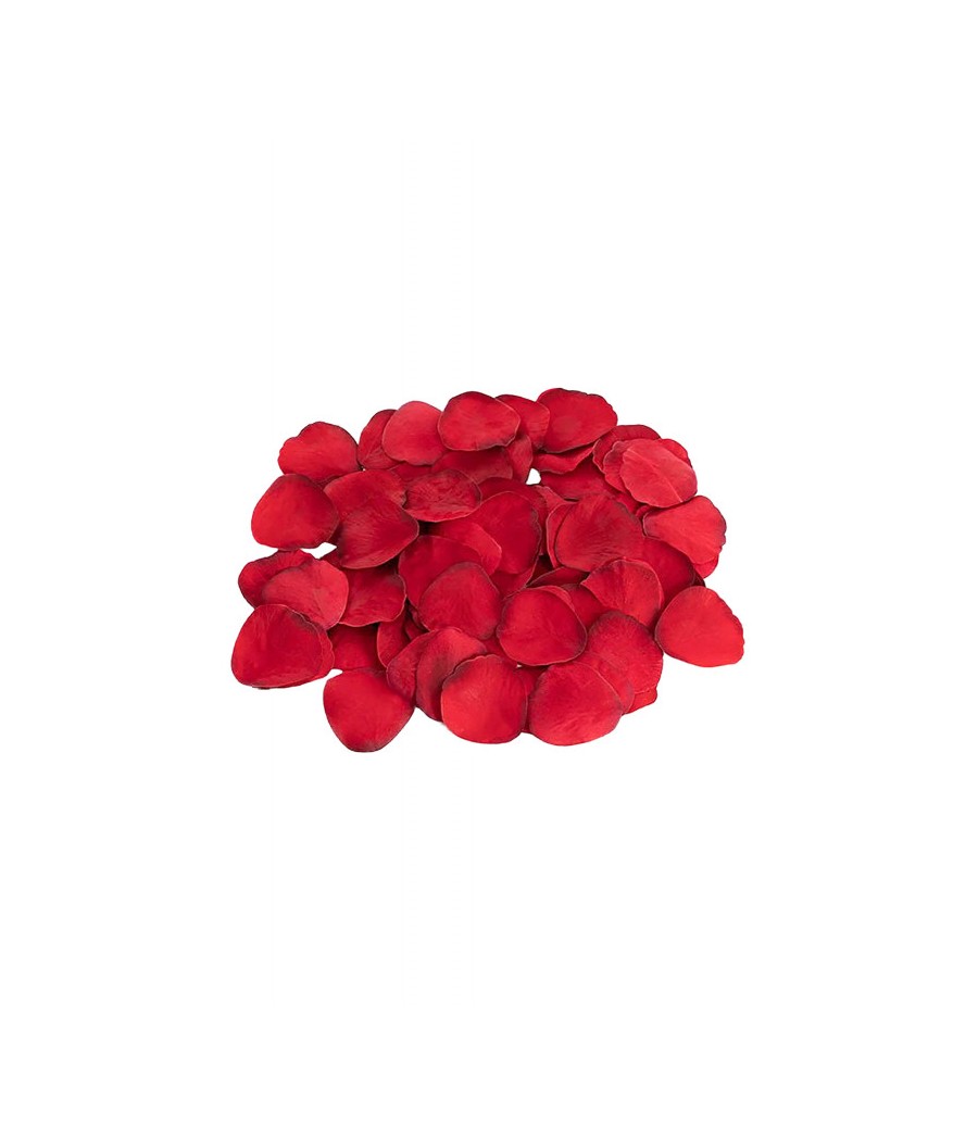 Atrévete shop - KIT VIBRADOR TANGA